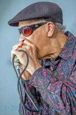 Wallace Coleman from 2017 Chicago Blues Festival