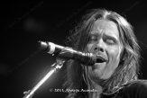 alter bridge 683a