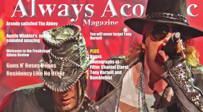 2012-Dec. AAI D-Mag (Cvr Final Photo)