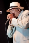 SIEGEL-SCHWALLBLUESBAND030