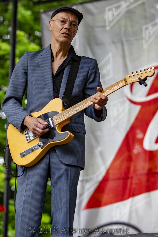 Diunna Greenleaf from 2018 Chicago Blues Festival