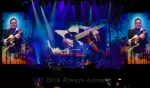 Eagles from the United Center