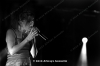 flyleaf-179