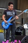 Half Gringa from Taste of Chicago