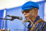 Harmonica Hinds from 2018 Chicago Blues Festival