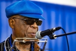 Harmonica Hinds from 2018 Chicago Blues Festival