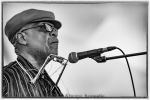 Harmonica Hinds from 2018 Chicago Blues Festival