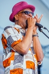 Harmonica Hinds from 2017 Chicago Blues Festival