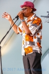 Harmonica Hinds from 2017 Chicago Blues Festival