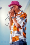 Harmonica Hinds from 2017 Chicago Blues Festival