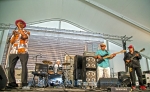 Harmonica Hinds from 2017 Chicago Blues Festival