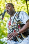 Southside Tribute to Killer Ray Allison from 2017 Chicago Blues Festival