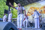 Southside Tribute to Killer Ray Allison from 2017 Chicago Blues Festival