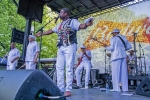 Southside Tribute to Killer Ray Allison from 2017 Chicago Blues Festival