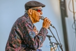 Wallace Coleman from 2017 Chicago Blues Festival