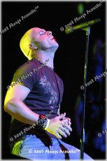 daughtry7607-004