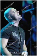 daughtry7607-110
