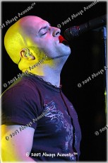 daughtry7607-126