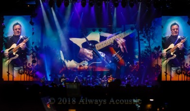 Eagles from the United Center