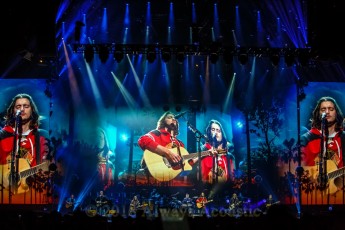 Eagles from the United Center