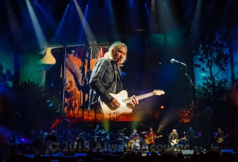 Eagles from the United Center