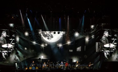 Eagles from the United Center