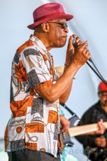 Harmonica Hinds from 2017 Chicago Blues Festival