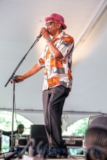 Harmonica Hinds from 2017 Chicago Blues Festival