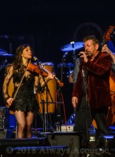 JD & The Straight Shot from the United Center