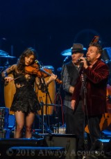 JD & The Straight Shot from the United Center