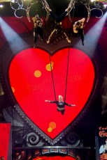 pink_2013-11-20_6890