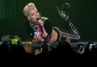 pink_2013-11-20_7081