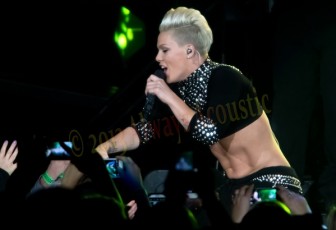 pink_2013-11-20_7119