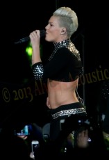 pink_2013-11-20_7122