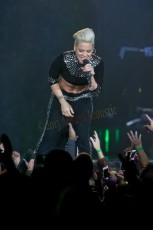 pink_2013-11-20_7139