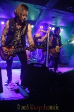 Rachel_Lorin_2016_11_05_5443