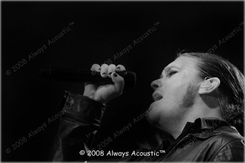 shinedown49