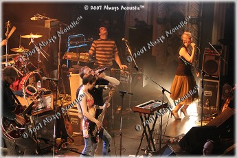 the_rentals_20070814_023