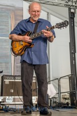 Wallace Coleman from 2017 Chicago Blues Festival